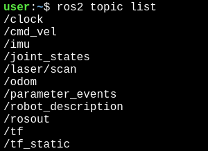 "ROS2 Topics After IGN Bridge"